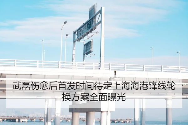 武磊伤愈后首发时间待定上海海港锋线轮换方案全面曝光